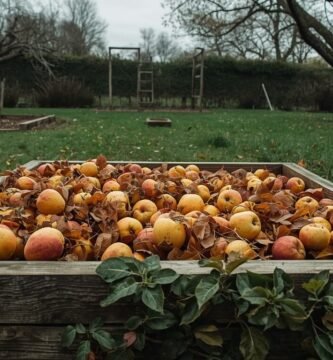 compost casero en otoño