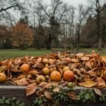 tipos-de-materiales-para-compostar-en-otono