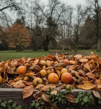 tipos-de-materiales-para-compostar-en-otono