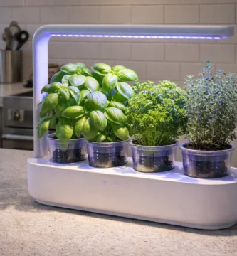 Smart gardens huerto interior - Smart gardens y kits automáticos: - Smart